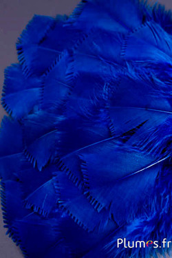 Dinde effilée - 6-8 cm - bleu nuit